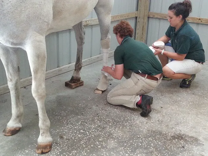 Surgi-Care Center For Horses 12