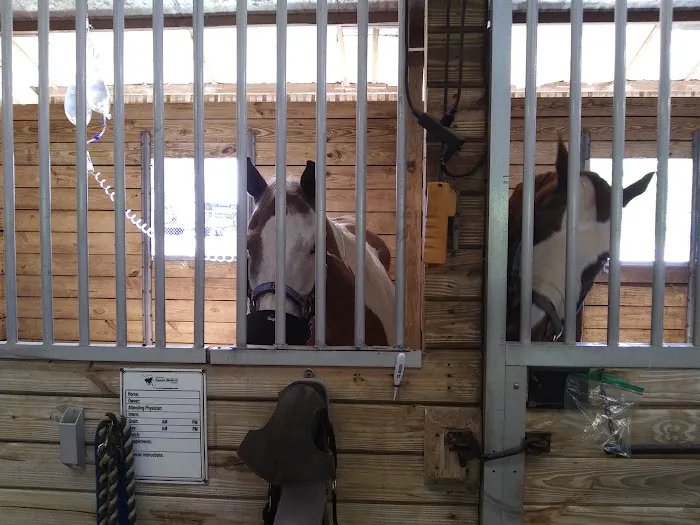 Surgi-Care Center For Horses 12