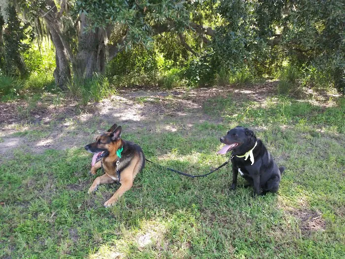 Big Bend Animal Hospital Inc 12