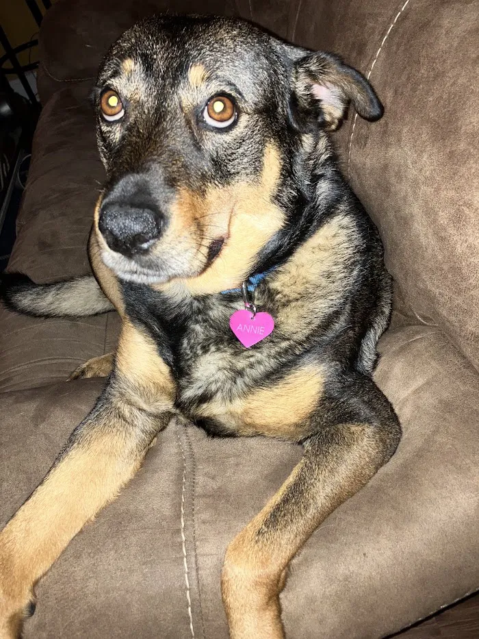 Big Bend Animal Hospital Inc 12