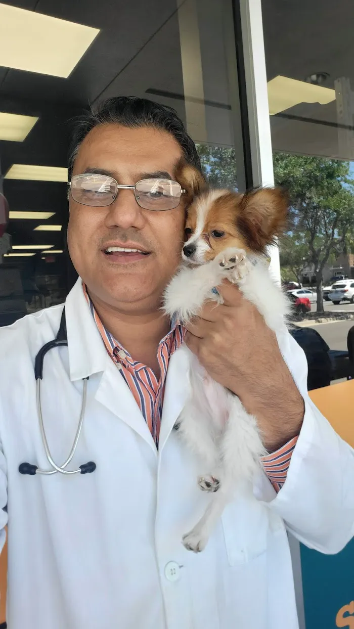 Mobile Pet Hospital 12