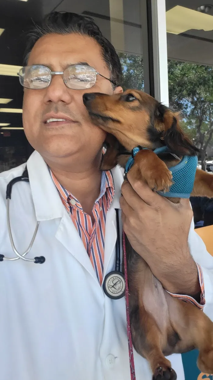 Mobile Pet Hospital 12