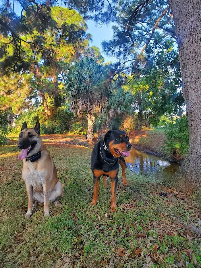 South Tampa Veterinary Care 12