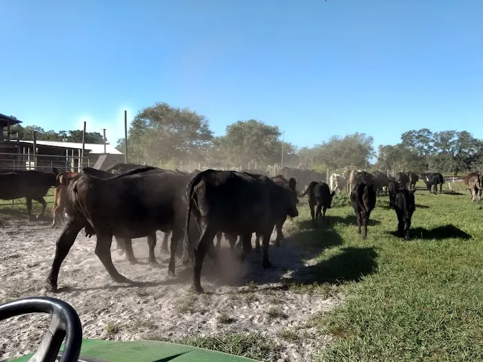 Country Animal Clinic 12