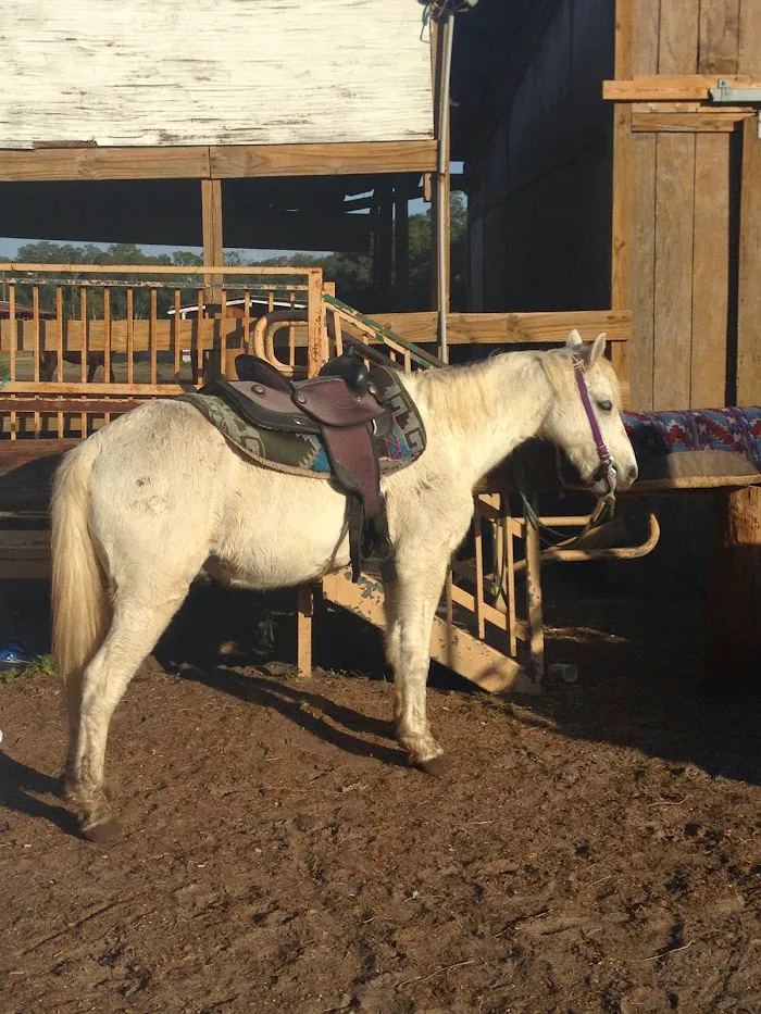 Country Animal Clinic 12