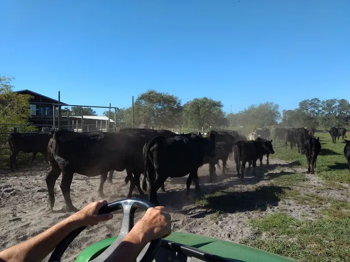 Country Animal Clinic 12