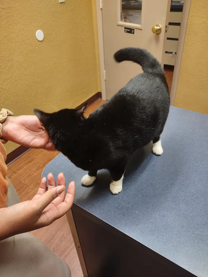 Noah's Ark Animal Hospital 12