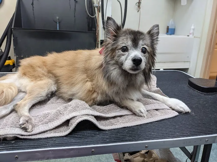 Noah's Ark Animal Hospital 12