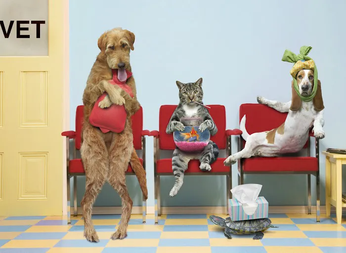 Noah's Ark Animal Hospital 12