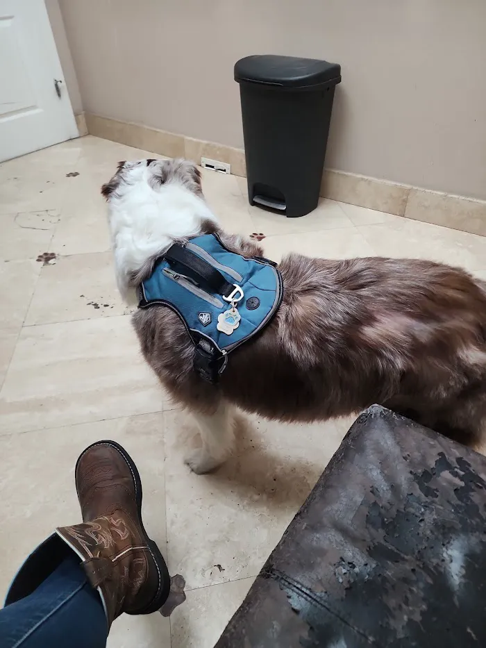 Fish Hawk Animal Clinic 12
