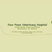 Four Paws Veterinary Hospital ico