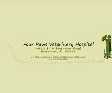 Four Paws Veterinary Hospital