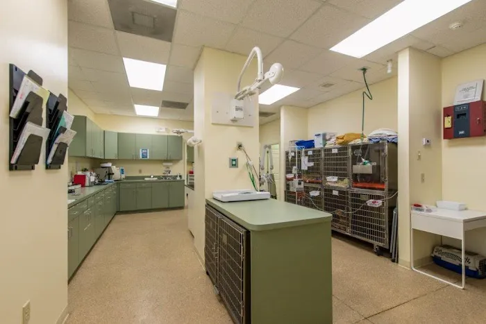 Four Paws Veterinary Hospital 12
