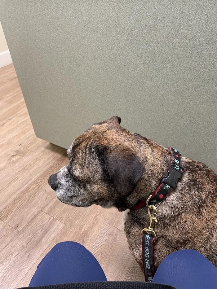 Four Paws Veterinary Hospital 12