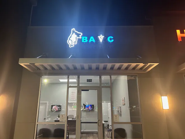 Bay Area Veterinary Care 12