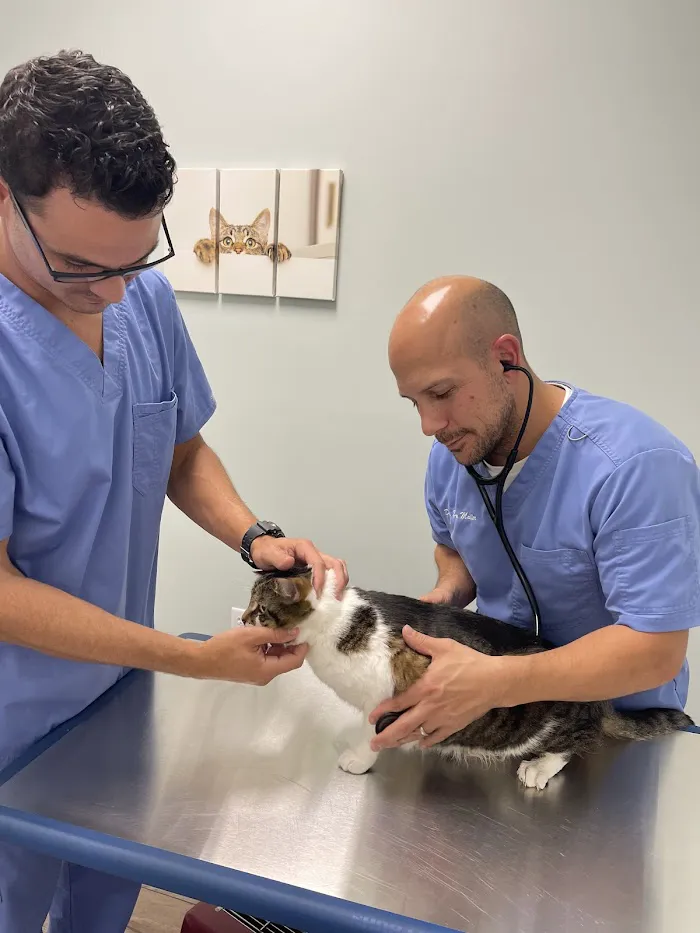 Bay Area Veterinary Care 12