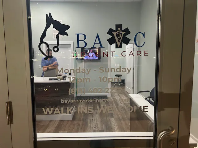 Bay Area Veterinary Care 12