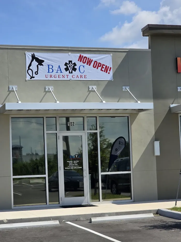 Bay Area Veterinary Care 12