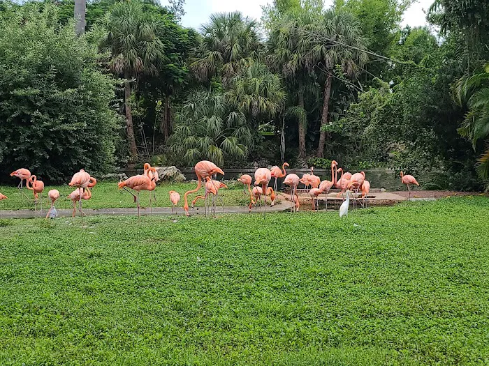 Busch Gardens Animal Care Center 12