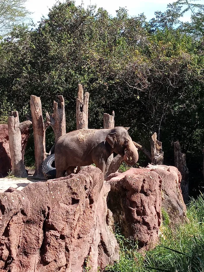 Busch Gardens Animal Care Center 12