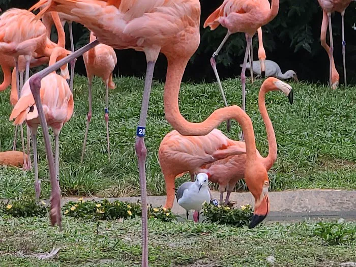 Busch Gardens Animal Care Center 12