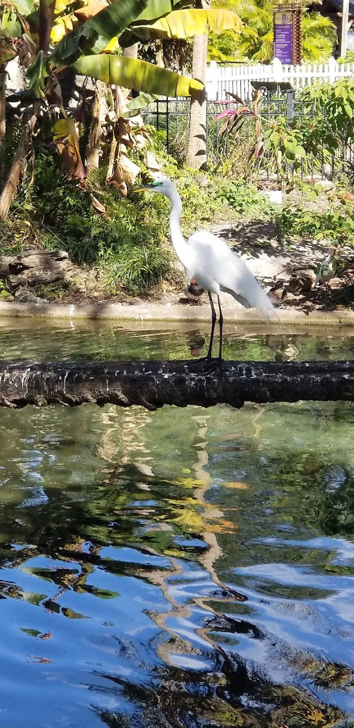 Busch Gardens Animal Care Center 12
