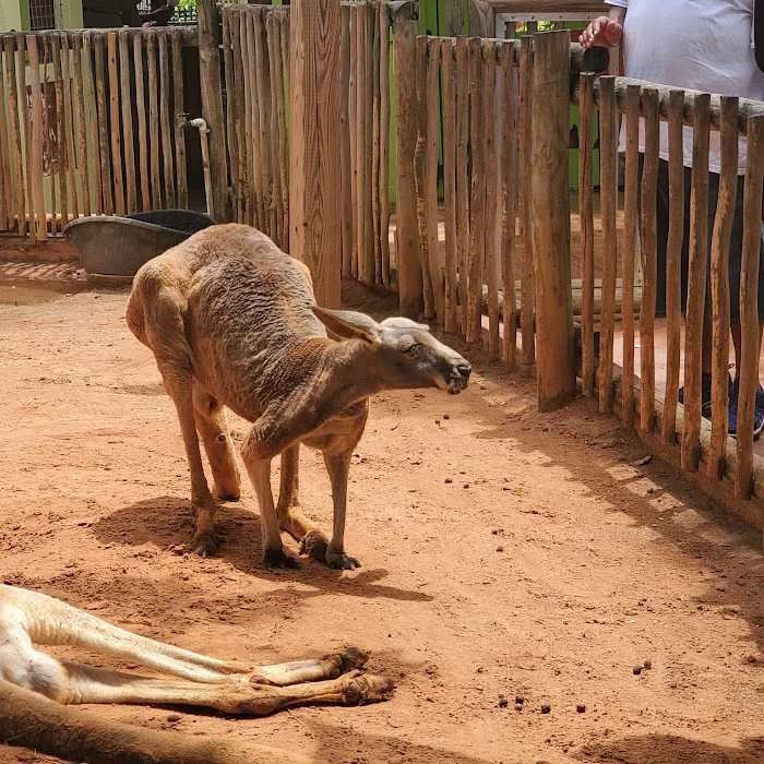 Busch Gardens Animal Care Center 12