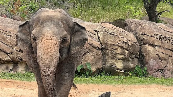Busch Gardens Animal Care Center 12