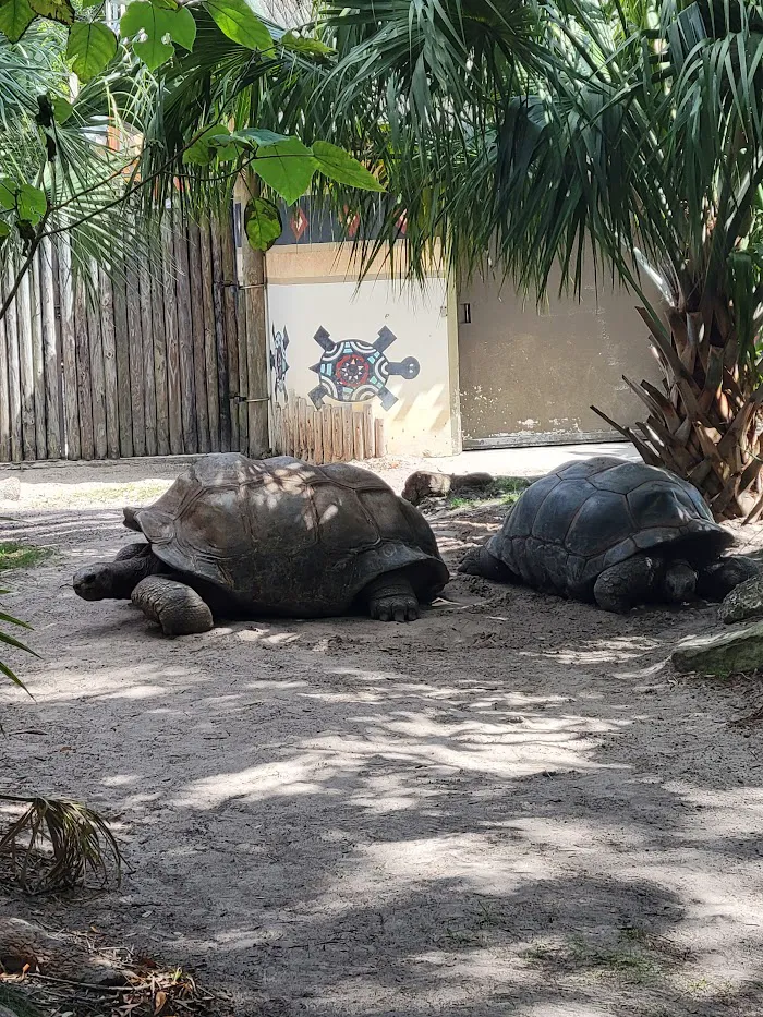 Busch Gardens Animal Care Center 12