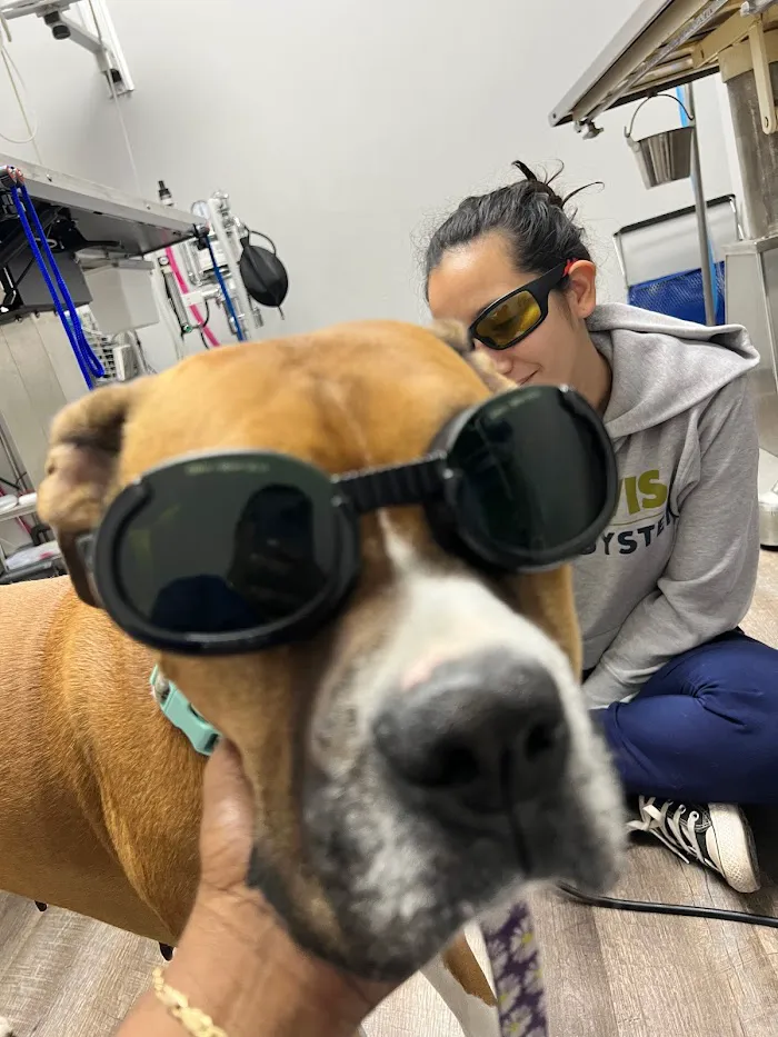 Riverview Veterinary Hospital 12