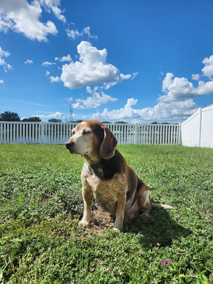 Riverview Veterinary Hospital 12
