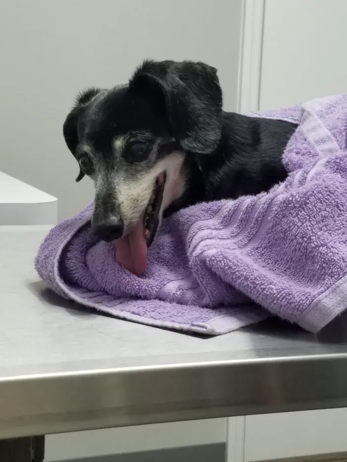 Riverview Veterinary Hospital 12