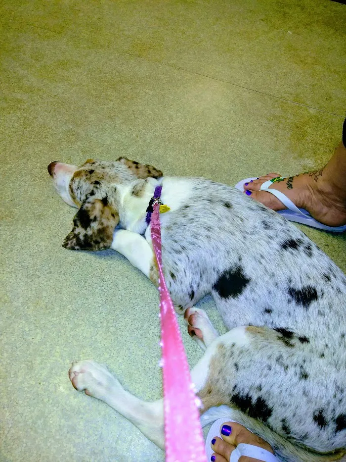 Riverview Veterinary Hospital 12