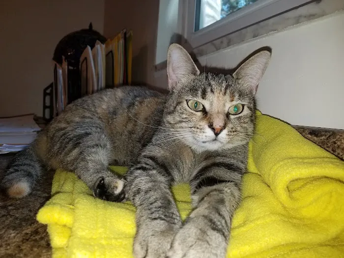 Riverview Veterinary Hospital 12