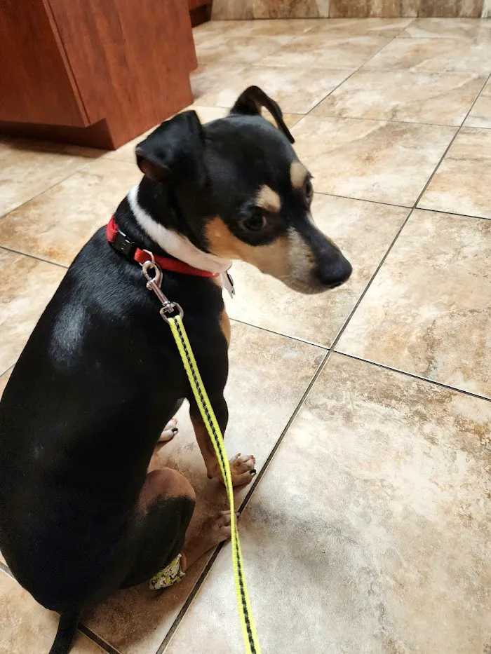 Veterinary Center at Fishhawk 12