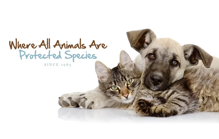 Bloomingdale Animal Hospital 12