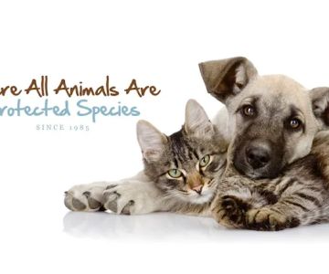 Bloomingdale Animal Hospital