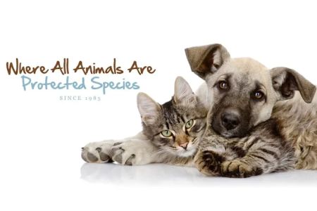 Bloomingdale Animal Hospital