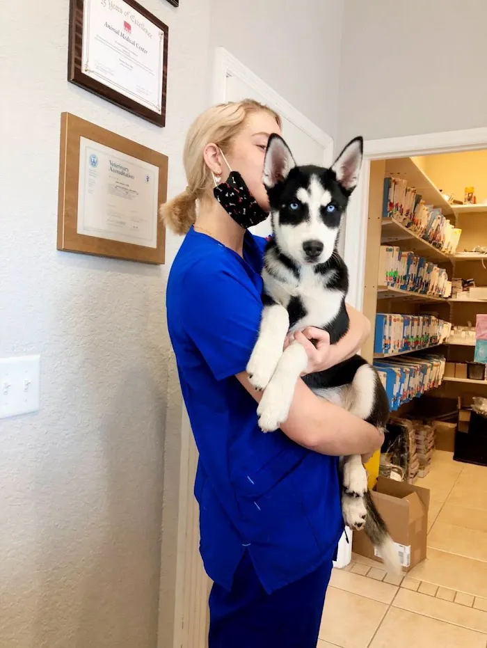 Animal Medical Center 12