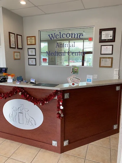 Animal Medical Center 12