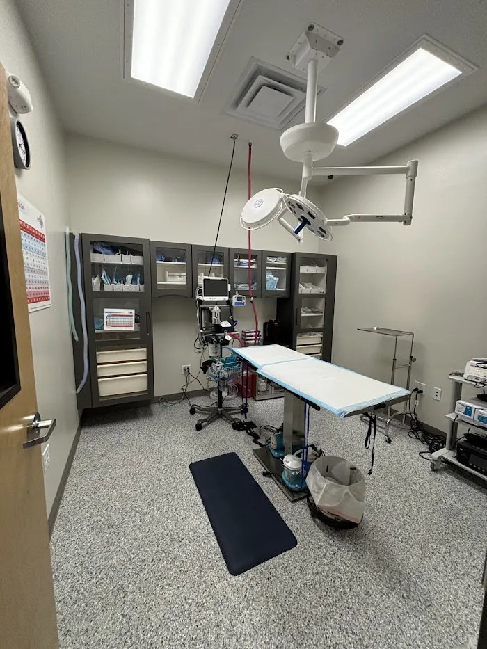 Beacon Emergency Veterinary Hospital 12