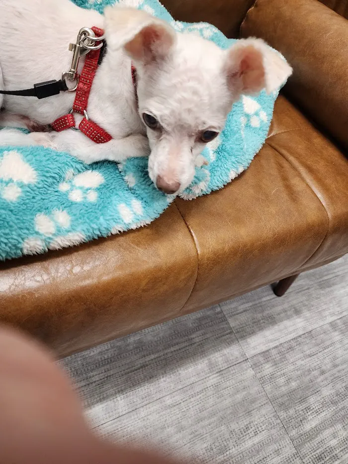 Beacon Emergency Veterinary Hospital 12