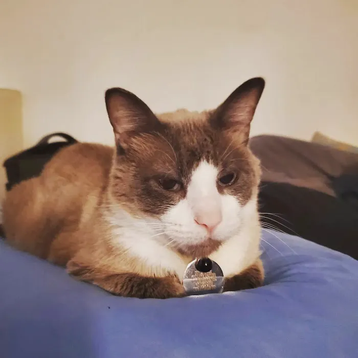BluePearl Pet Hospital 12