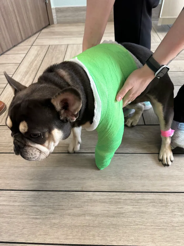 BluePearl Pet Hospital 12
