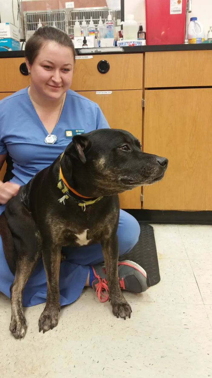 Banfield Pet Hospital 12