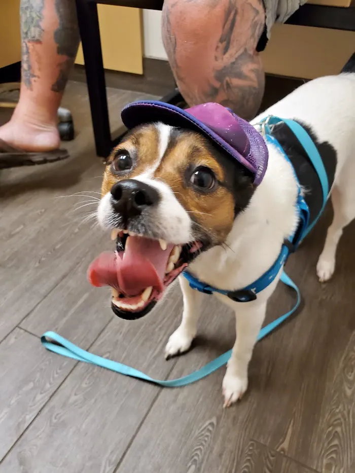 Banfield Pet Hospital 12