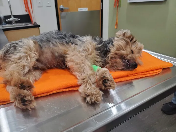 Banfield Pet Hospital 12