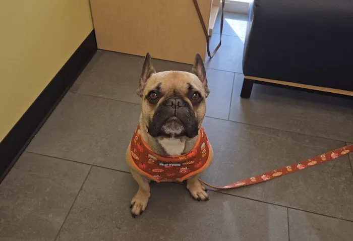 Banfield Pet Hospital 12
