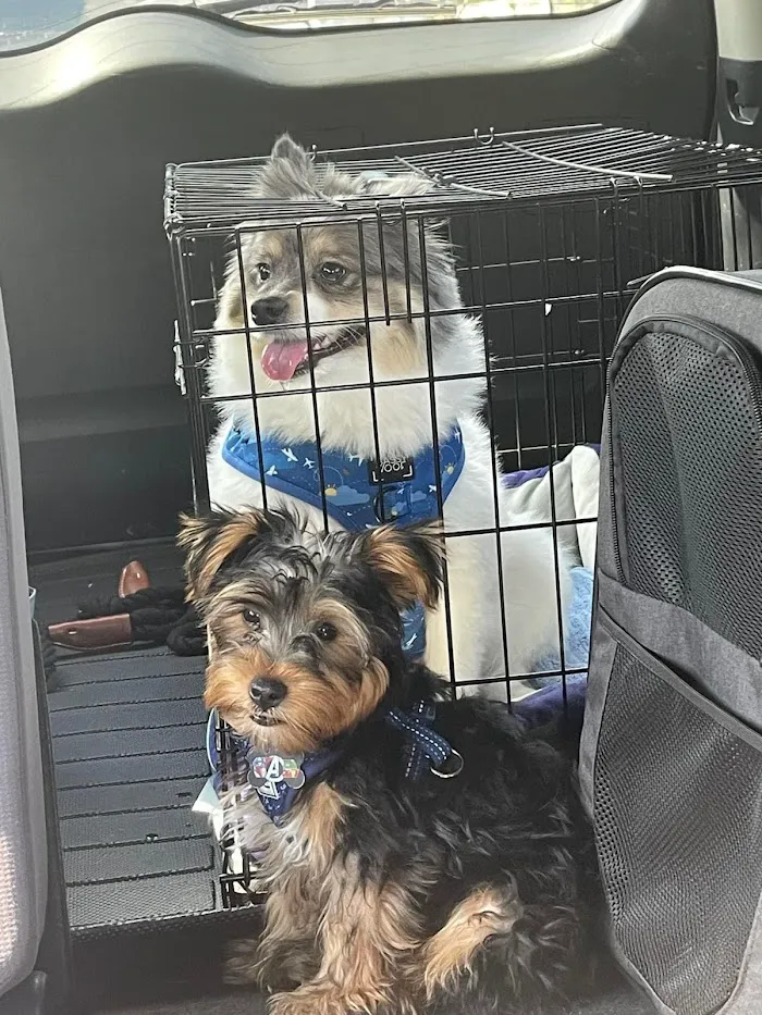 Banfield Pet Hospital 12