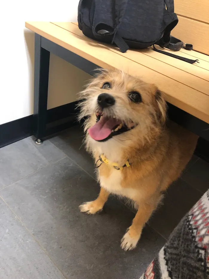 Banfield Pet Hospital 12